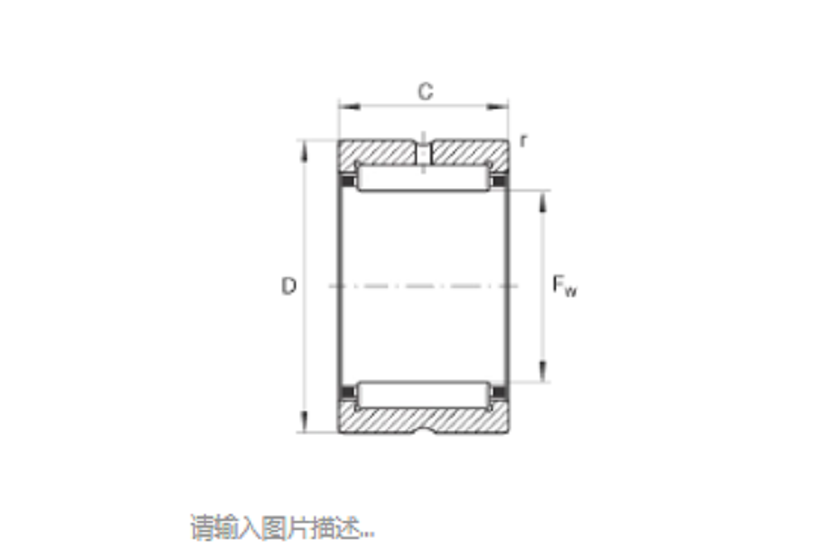 FAG NK19/20軸承