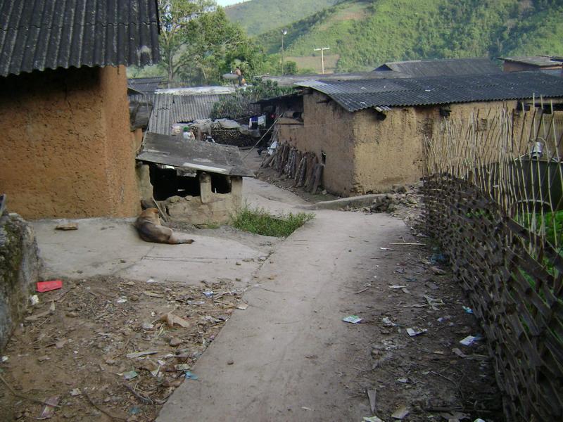 弄獨村(雲南金平苗族瑤族傣族自治縣)