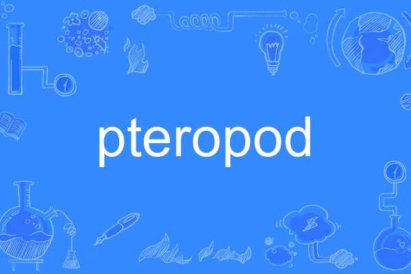 pteropod