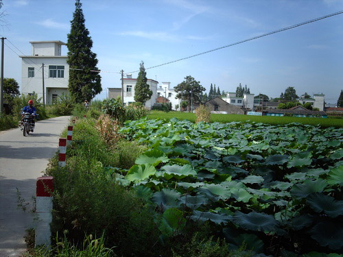 潘村村(安徽宣城市郎溪縣姚村鄉下轄村)