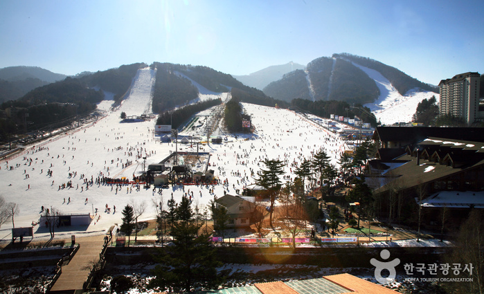 龍平滑雪度假區