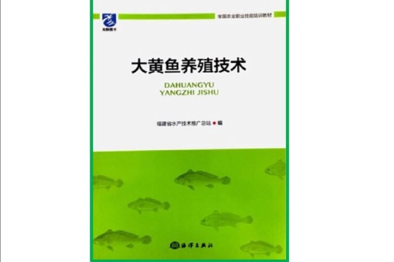 大黃魚養殖技術(海洋出版社出版圖書)