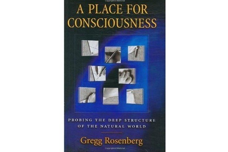 A Place for Consciousness