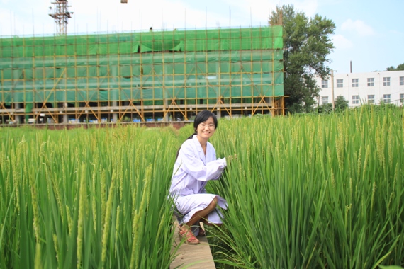 苗微(瀋陽農業大學農學院講師)