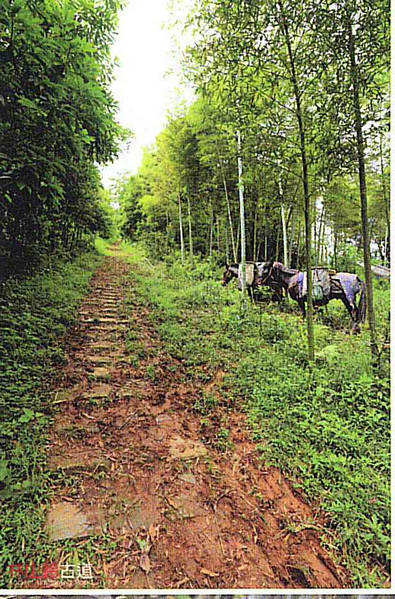 林山嶺古道