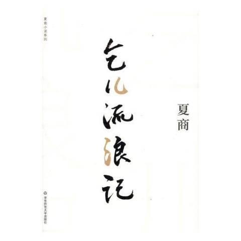 乞兒流浪記(2018年華東師範大學出版社出版的圖書)