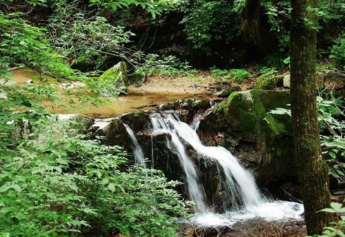 遼寧和睦國家森林公園