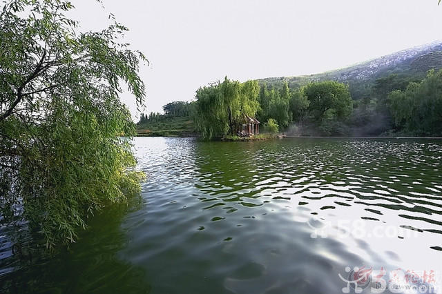 齊村鎮(山東省棗莊市市中區下轄鎮)