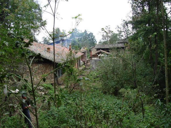 沙塘子村(雲南宣威市海岱鎮下轄村)