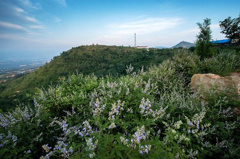 萬山(河南省滎陽市萬山)