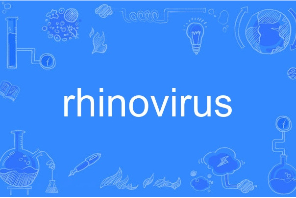 rhinovirus