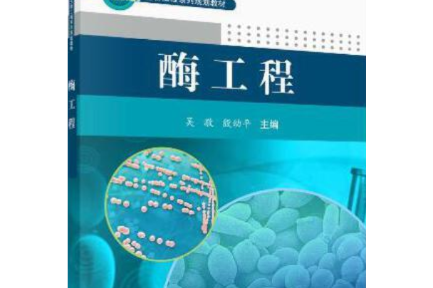 生物工程系列規劃教材：酶工程