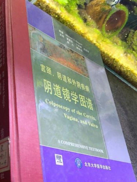 宮頸、陰道和外陰疾病陰道鏡學圖譜