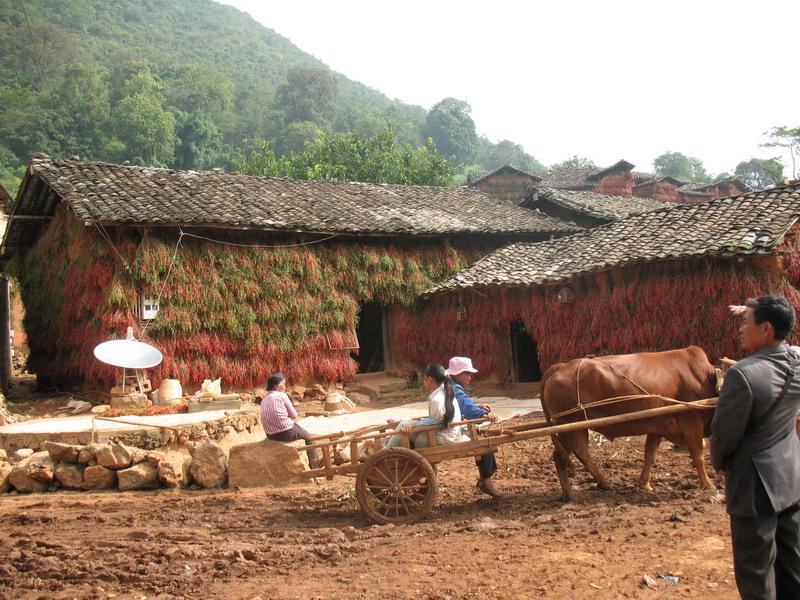 支白山村