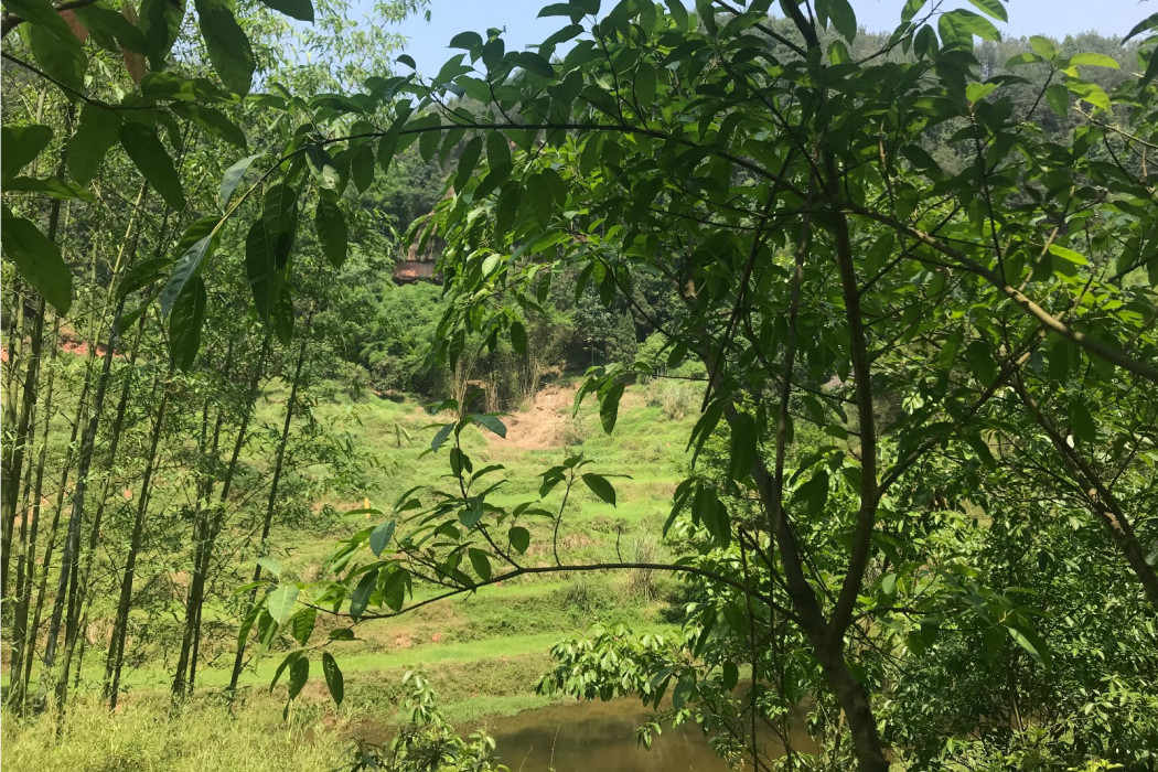 飛龍洞(四川省富順縣李橋鎮黑龍谷景區境內景點)