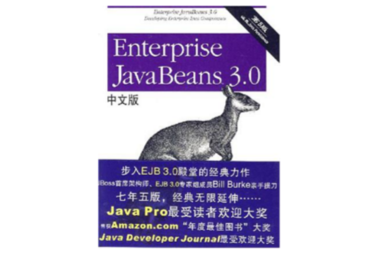 Enterprise JavaBeans 3.0中文版