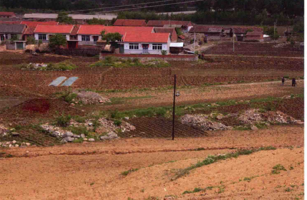 雅河流域墓群