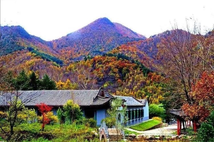 仙台山森林康養基地