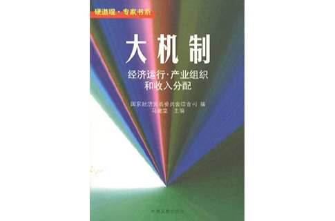 大機制--經濟運行·產業組織和收入分配