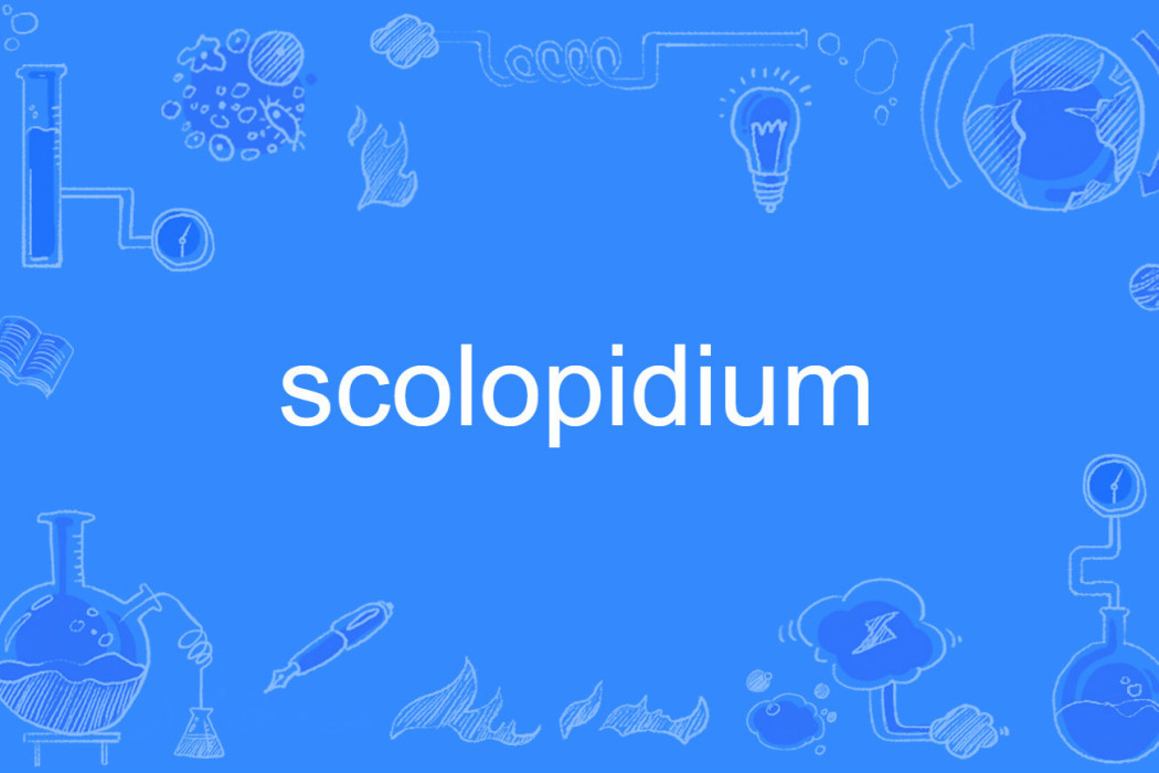 scolopidium