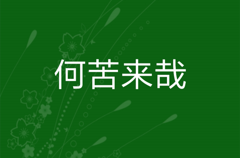 何苦來哉(小說)