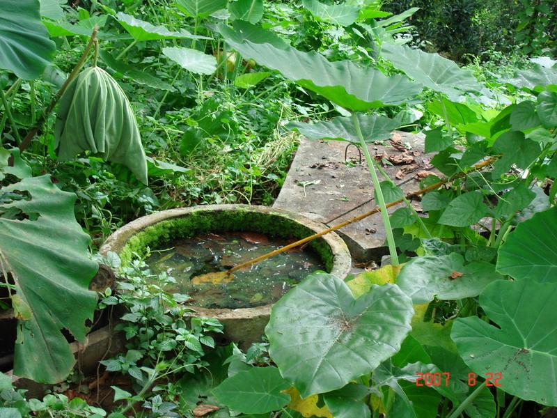 索陽自然村沼氣池