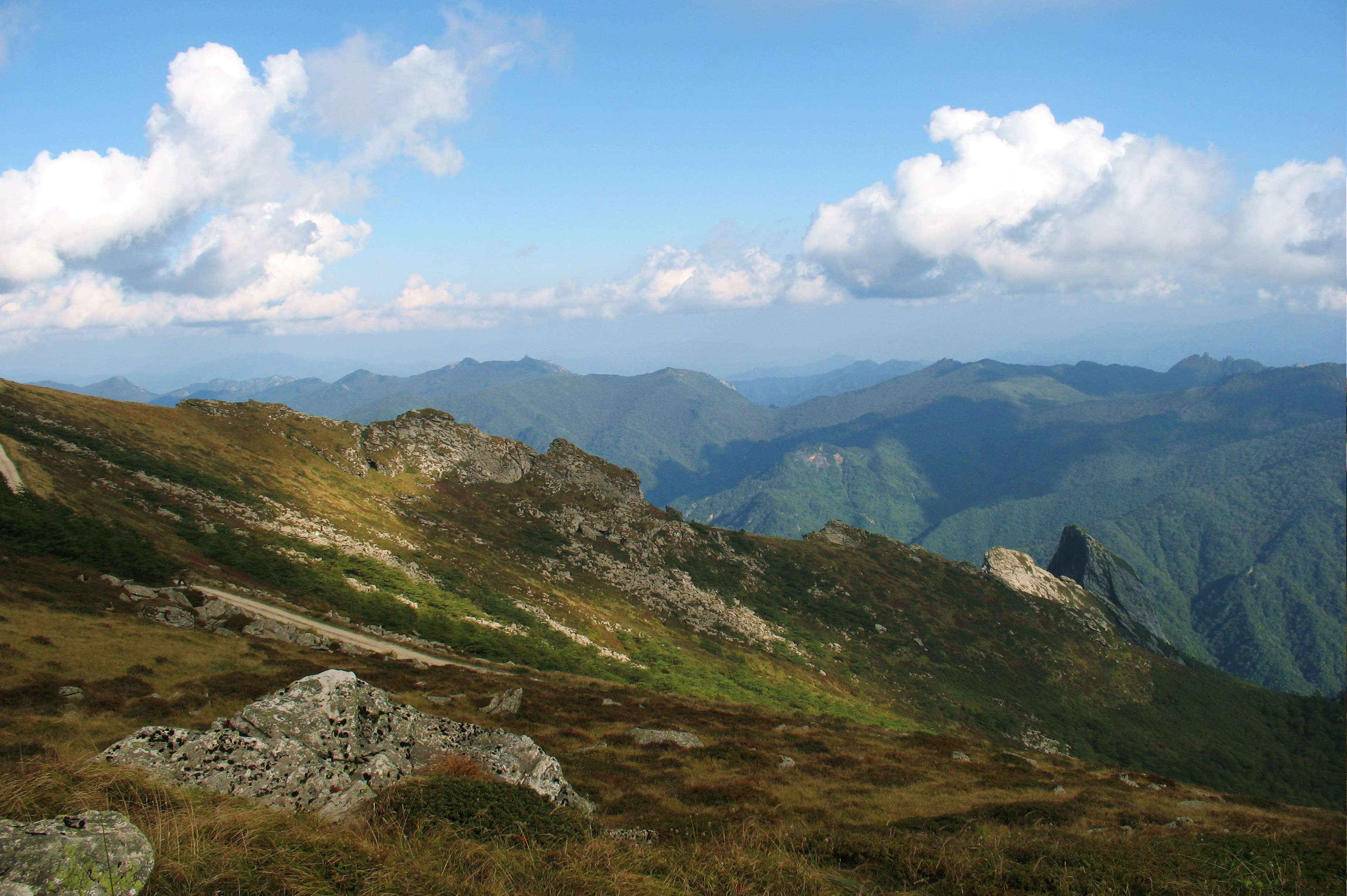 秦嶺梁