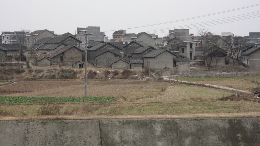 羅家村(遼寧葫蘆島市興城市大寨鄉羅家村)