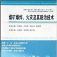 煤礦爆炸火災及其防治技術