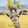 Baby Animals in Grasslands