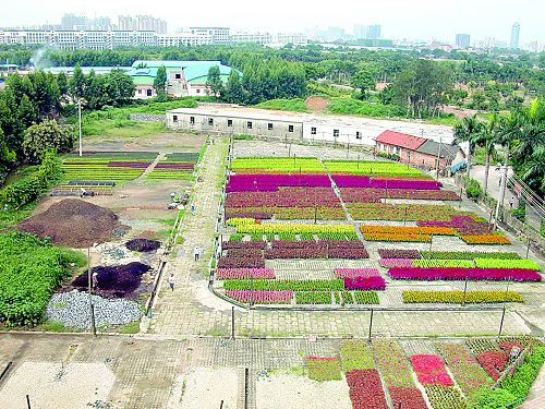 南寧安吉花卉公園