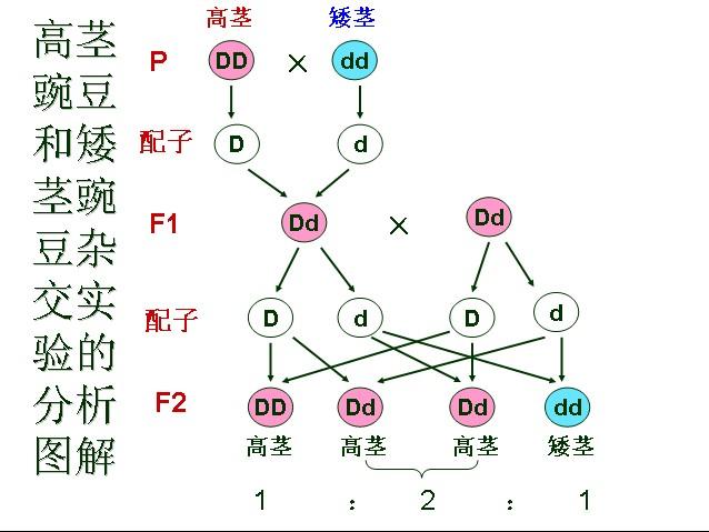 比較判斷定律