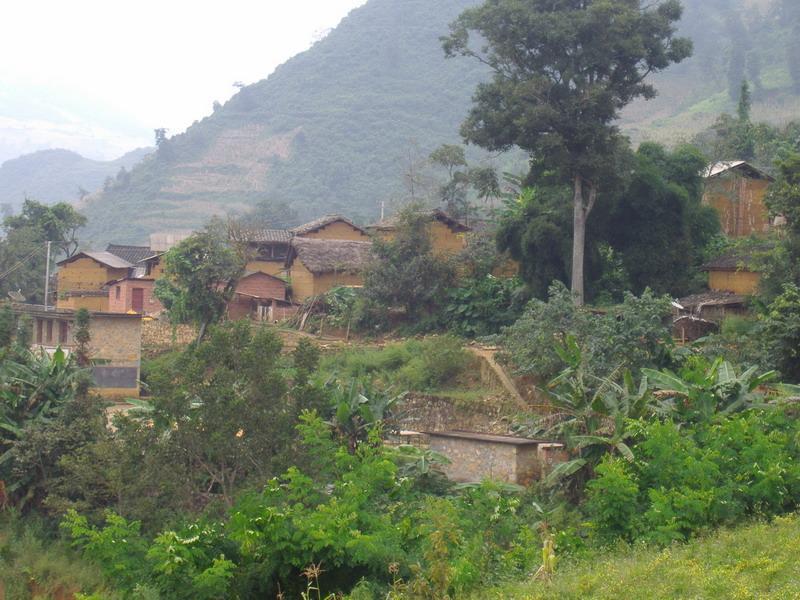 白沙溝村(雲南建水縣甸尾鄉下轄村)