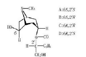 消旋山莨菪鹼