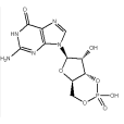 環單磷酸鳥苷