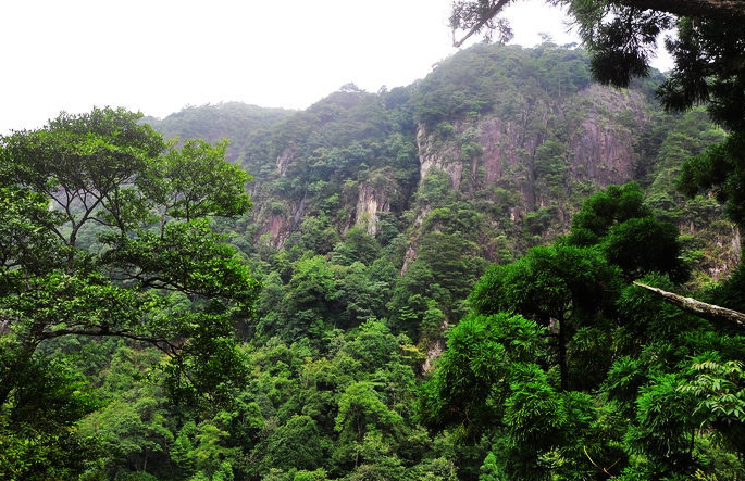 九龍村