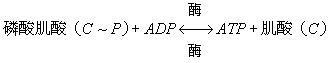 高能磷酸鍵化合物