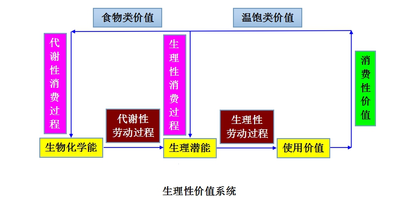 生理性價值系統