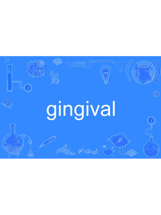 gingival