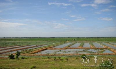 康山墾殖場