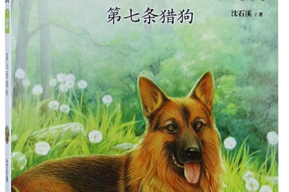 第七條獵狗/動物小說大王沈石溪注音讀本