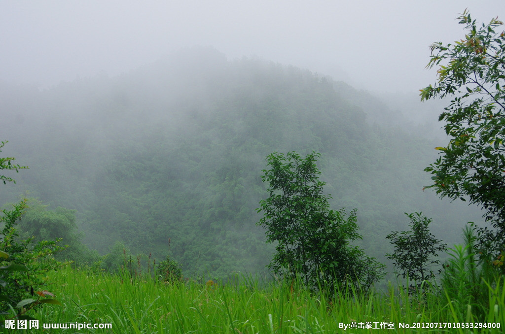 山雨