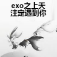 exo之上天注定遇到你