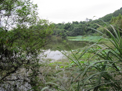 重慶照母山植物園