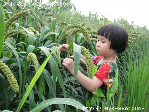 生態校園