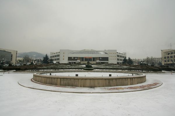 青島大學學生會