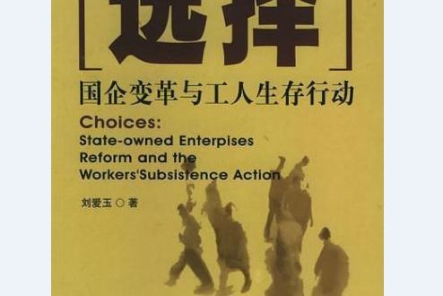 選擇(2005年社會科學文獻出版社出版的圖書)