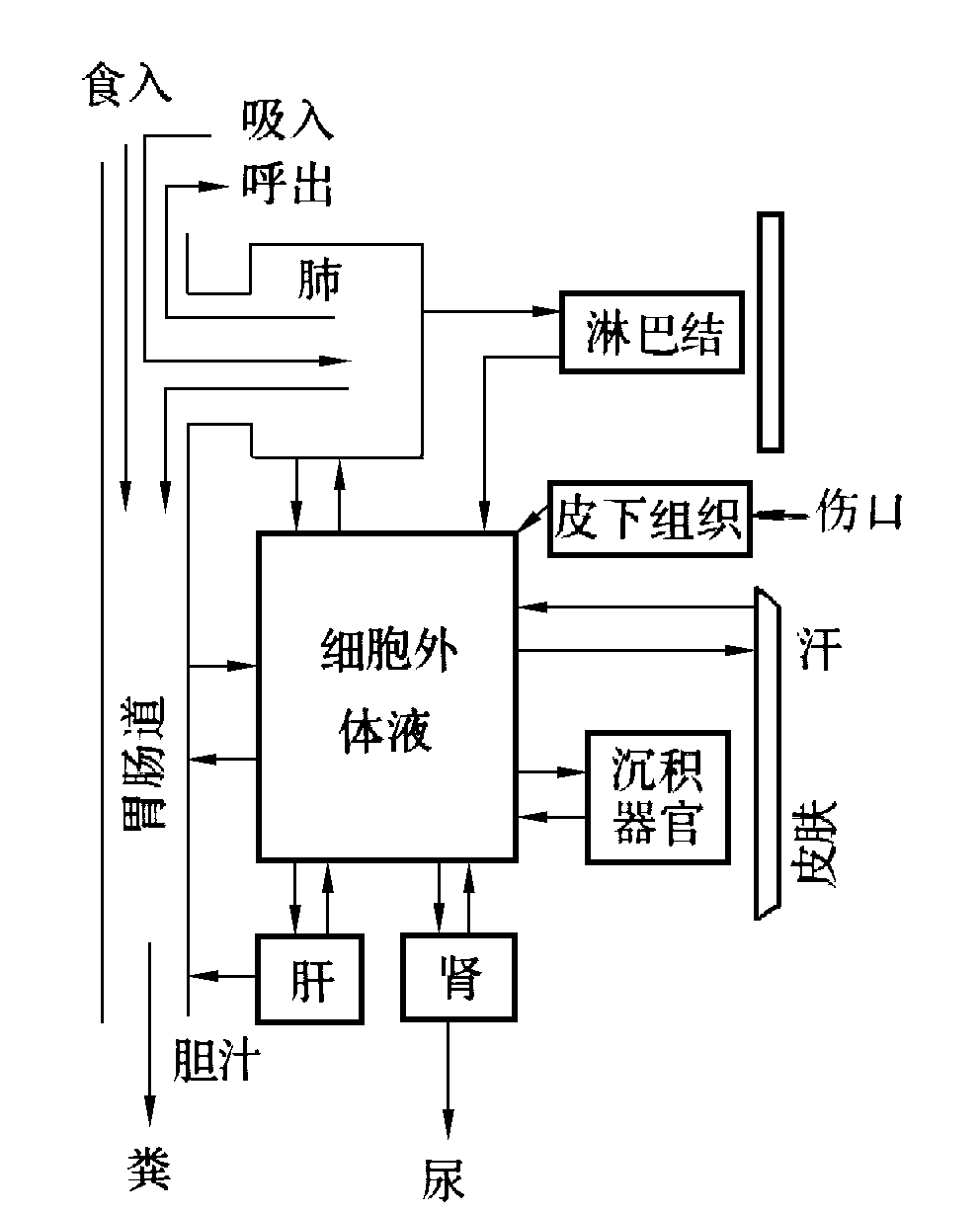 放射性核素體內代謝