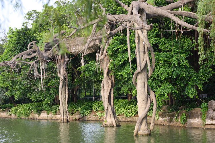 雷崗公園