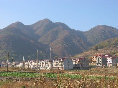 子胥村